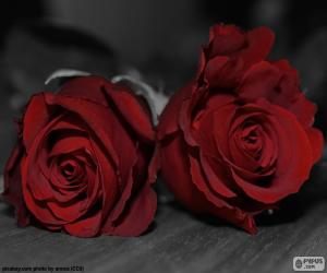 пазл Две розы для вашей матери